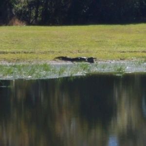 Meet your Posher, Keisha